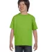 5380 Hanes® Youth Beefy®-T 5380 in Lime front view