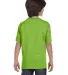 5380 Hanes® Youth Beefy®-T 5380 in Lime back view