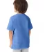 5450 Hanes® Authentic Tagless Youth T-shirt in Carolina blue back view