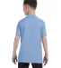 5450 Hanes® Authentic Tagless Youth T-shirt in Light blue back view