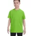 5450 Hanes® Authentic Tagless Youth T-shirt in Lime front view
