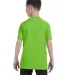 5450 Hanes® Authentic Tagless Youth T-shirt in Lime back view