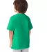 5450 Hanes® Authentic Tagless Youth T-shirt in Kelly back view