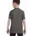 5450 Hanes® Authentic Tagless Youth T-shirt in Smoke gray back view