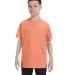 5450 Hanes® Authentic Tagless Youth T-shirt in Candy orange front view