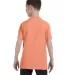 5450 Hanes® Authentic Tagless Youth T-shirt in Candy orange back view