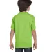 5480 Hanes® Heavyweight Youth T-shirt LIME back view