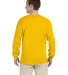 2400 Gildan Ultra Cotton Long Sleeve T Shirt  in Gold back view