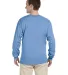 2400 Gildan Ultra Cotton Long Sleeve T Shirt  in Carolina blue back view