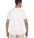 2300 Gildan Ultra Cotton Pocket T-shirt in White back view