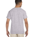 2300 Gildan Ultra Cotton Pocket T-shirt in Sport grey back view