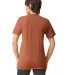 American Apparel TR401 Unisex Tri-Blend Track Tee in Tri rust back view