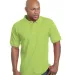 1000 Bayside Adult Cotton Pique Polo in Lime green front view