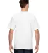 2905 Bayside Adult Union Made Cotton Tee in White back view