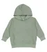 3326 Rabbit Skins Toddler Hooded Sweatshirt with P in Bamboo blackout front view