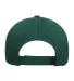 6363 Yupoong Solid Brushed Cotton Twill Cap SPRUCE back view