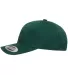 6363 Yupoong Solid Brushed Cotton Twill Cap SPRUCE side view