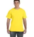 6901 LA T Adult Fine Jersey T-Shirt YELLOW front view