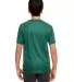 8420Y UltraClub FOREST GREEN back view