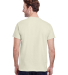 Gildan 5000 G500 Heavy Weight Cotton T-Shirt in Natural back view