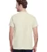 Gildan 5000 G500 Heavy Weight Cotton T-Shirt in Natural back view