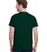 Gildan 5000 G500 Heavy Weight Cotton T-Shirt in Forest green back view