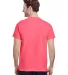 Gildan 5000 G500 Heavy Weight Cotton T-Shirt in Coral silk back view