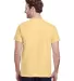 Gildan 5000 G500 Heavy Weight Cotton T-Shirt in Yellow haze back view