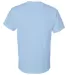 8000 Gildan Adult DryBlend T-Shirt LIGHT BLUE back view