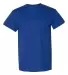 8000 Gildan Adult DryBlend T-Shirt SPORT ROYAL front view