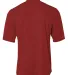 N3143 A4 Adult Tek 2-Button Henley CARDINAL back view