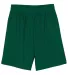 N5255 A4 9 Inch Adult Lined Micromesh Shorts in Forest green front view