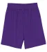 N5255 A4 9 Inch Adult Lined Micromesh Shorts in Purple front view