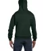 S700 Champion Logo 50/50 Pullover Hoodie in Dark green back view