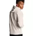S700 Champion Logo 50/50 Pullover Hoodie in Oatmeal heather back view