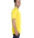 780 Anvil Middleweight Ringspun T-Shirt in Lemon zest side view