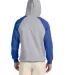 96CR JERZEES - Nublend® Colorblocked Hooded Pullo OXFORD/ ROYAL back view