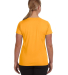 1790 Augusta Sportswear - Ladies' V-Neck Wicking T in Gold back view