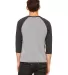 BELLA+CANVAS 3200 Unisex Baseball Tee in Gry/ chr blk trb back view