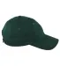 Big Accessories BX880 6-Panel Unstructured Hat in Hunter front view