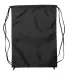 8888 Liberty Bags - Denier Nylon Zippered Drawstri BLACK back view