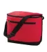 1695 Liberty Bags - Joseph Twelve-Pack Cooler RED front view