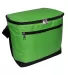 1695 Liberty Bags - Joseph Twelve-Pack Cooler KELLY front view