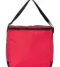 1695 Liberty Bags - Joseph Twelve-Pack Cooler RED back view