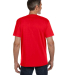 EC1000 econscious 5.5 oz., 100% Organic Cotton Cla in Red pepper back view