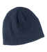 EC7040 econscious Organic Beanie in Pacific front view